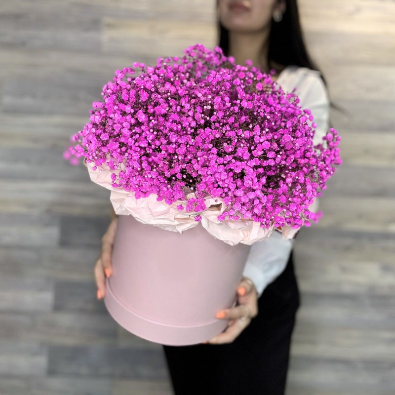 Нет заданного изображения 